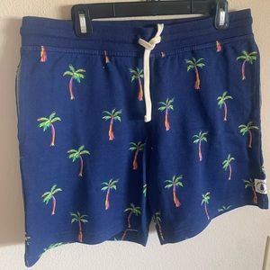 Men’s Chubbies shorts